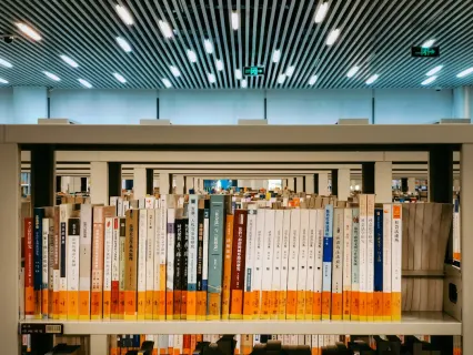 Slottio Casino Mobiilirakendus